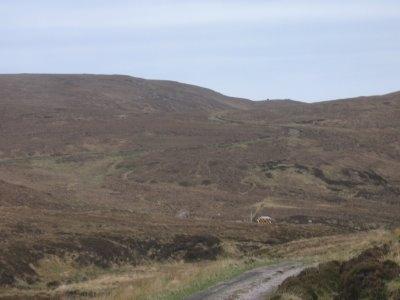 Cape Wrath landscape with \"sentry huts in distance(to ensure during military exercises you are not fired upon by accidentally entering the range)\".
