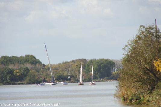 Encore près de 15 milles en rivière et ce sera l\'Océan. Encore près de 15 milles en rivière et ce sera l\'Océan.