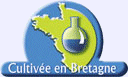 Logo du site Alpha Biotech. Entreprise sise en Loire-Atlantique.