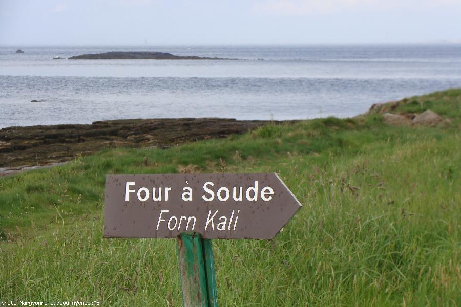 Molenez. Vers les fours à soude.