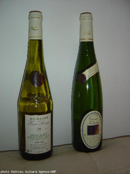 Une bouteille de Muscadet et une bouteille de Gros Plant du Pays Nantais.