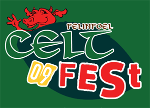 CeltFest cancelled its planned event to coincide with the Wales V\'s Argentina international rugby match.