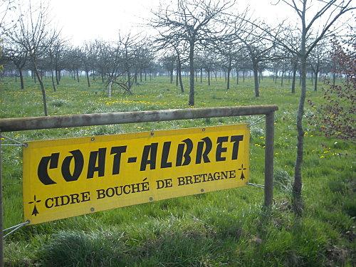 Cidrerie à Bédée. (Photo UDB Yaouank). Cidrerie à Bédée. (Photo UDB Yaouank).