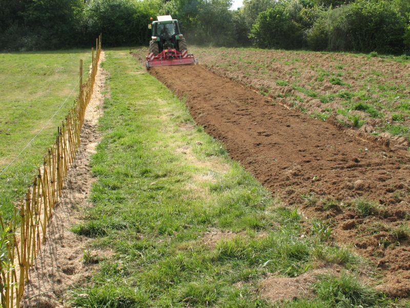 La parcelle labourée. Boutures d\'osiers à gauche. Photo site de l\'Association Berligou.