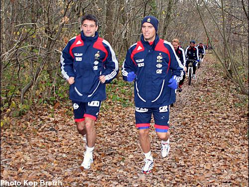 Les Bretons Jérémy Toulalan et Yoann Gourcuff ne seront pas sélectionnés parmi les Bleus cette fois-ci.