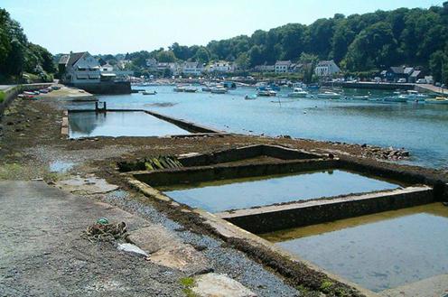 A Riec dans l'un des berceaux de l'huître chez Anne du Belon