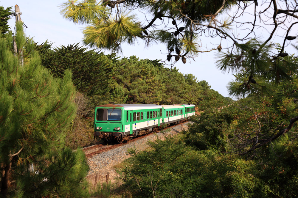 Le Tire-bouchon relie Auray à Quiberon évitant ainsi la circulation.