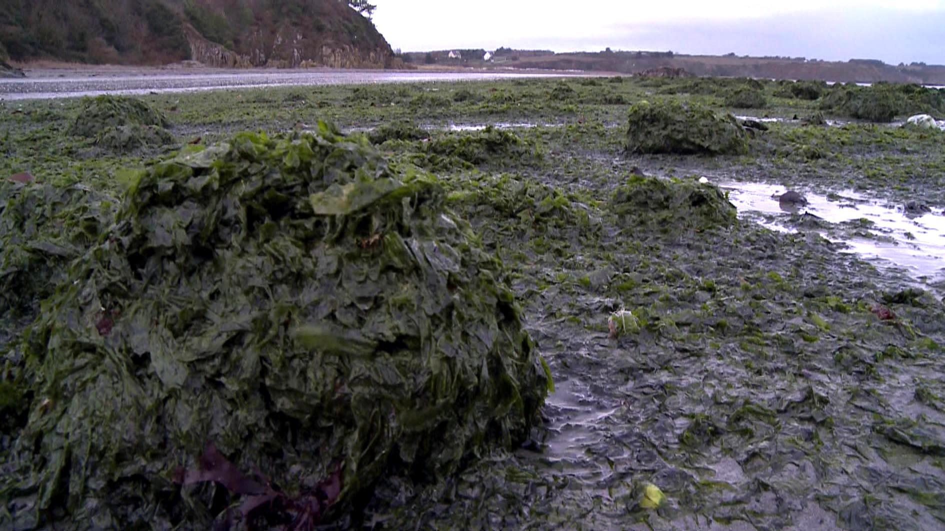En Bretagne. Photo du film. En Bretagne. Photo du film.