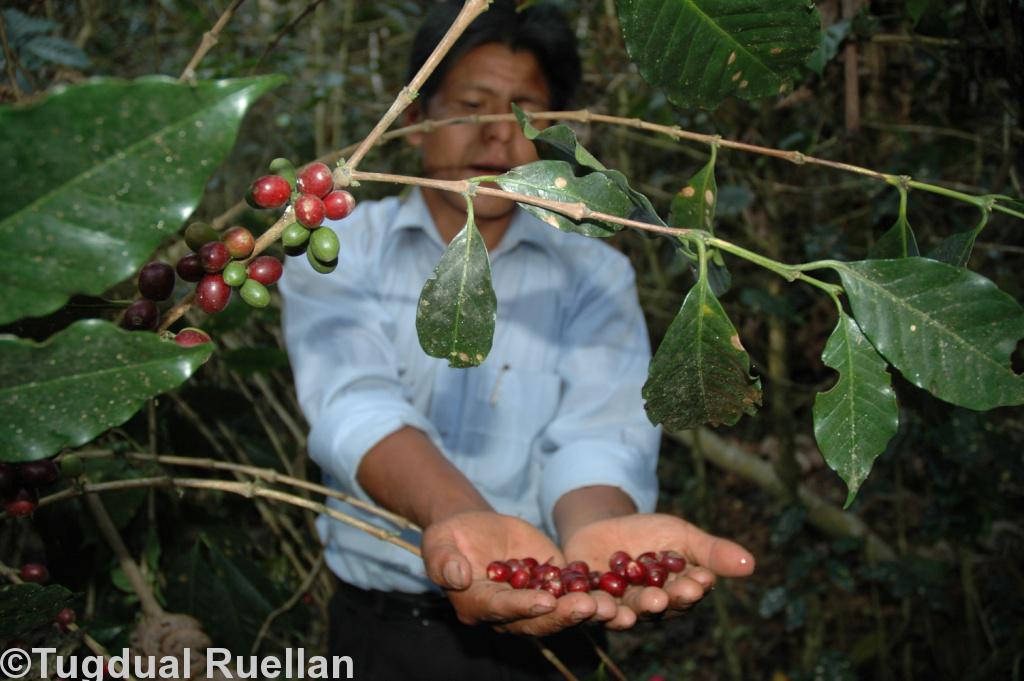 Un représentant de producteurs de café en Bolivie vient témoigner des retombées bénéfiques du commerce équitable.