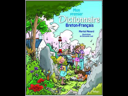 Dictionnaire illustré