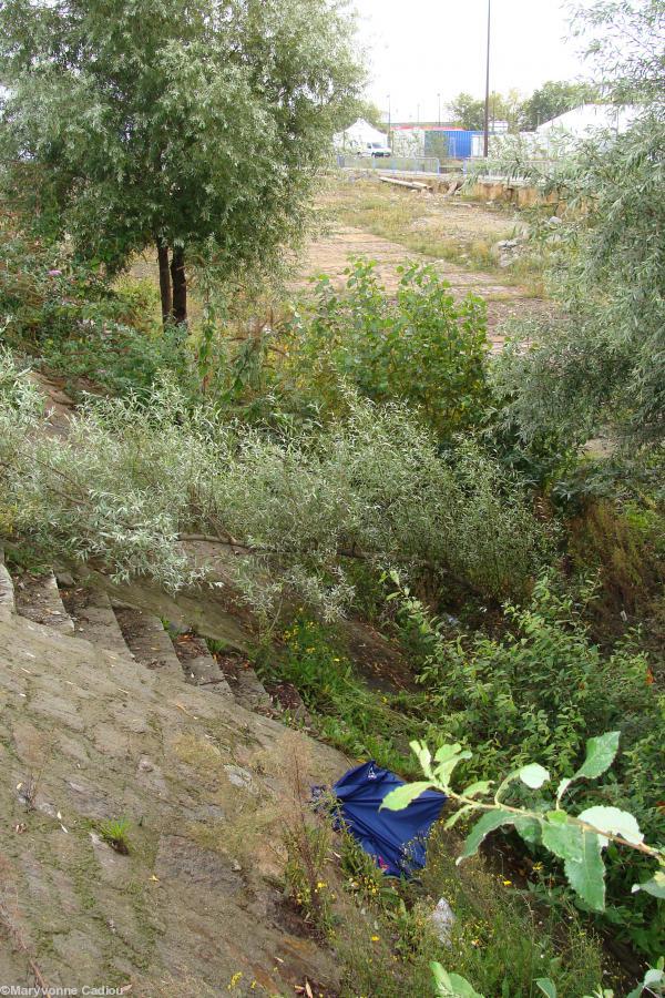 Une cale \"végétalisée\". En octobre 2008 depuis 21 ans donc.