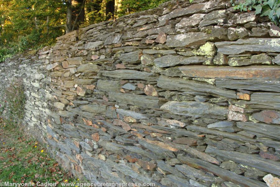Un mur... Schiste ardoisier à Nozay : la pierre bleue. Domaine du château de La Touche.