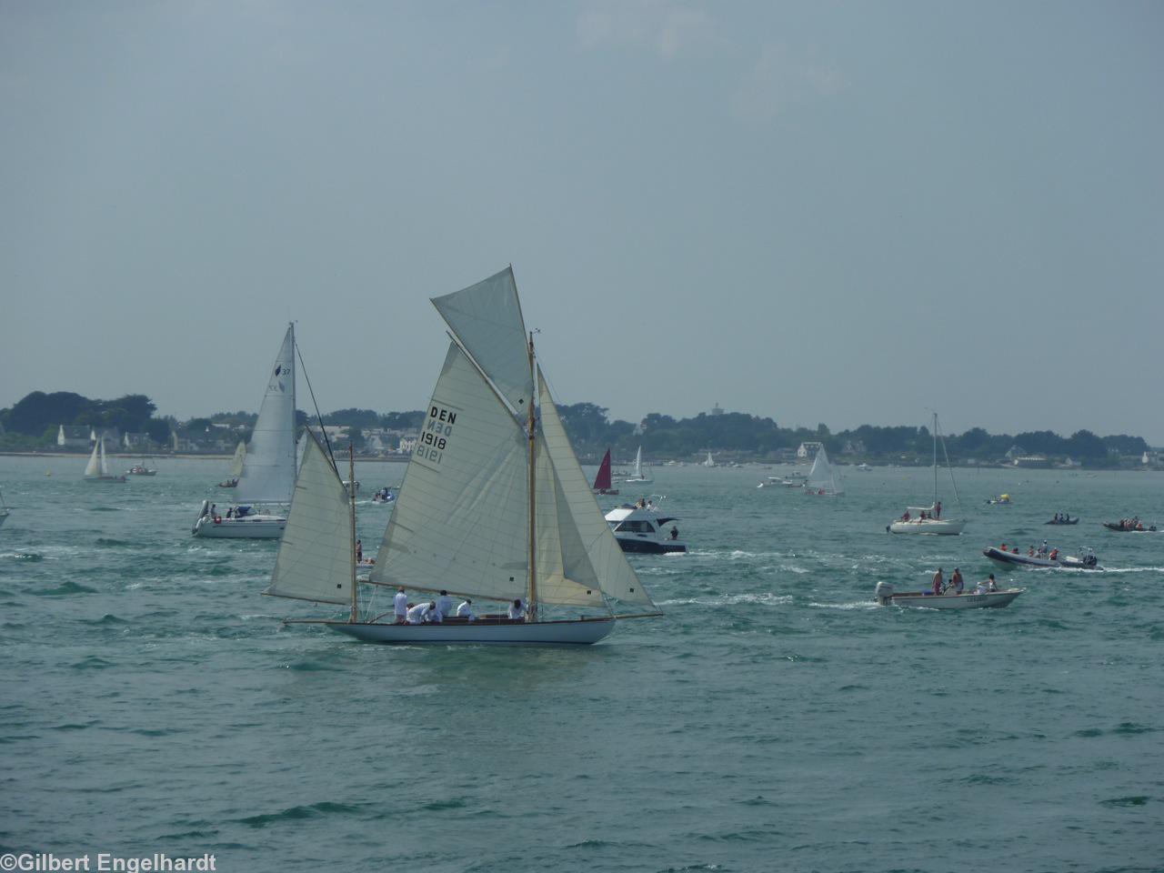 Le<i>Viola.</i> Le<i>Viola.</i>