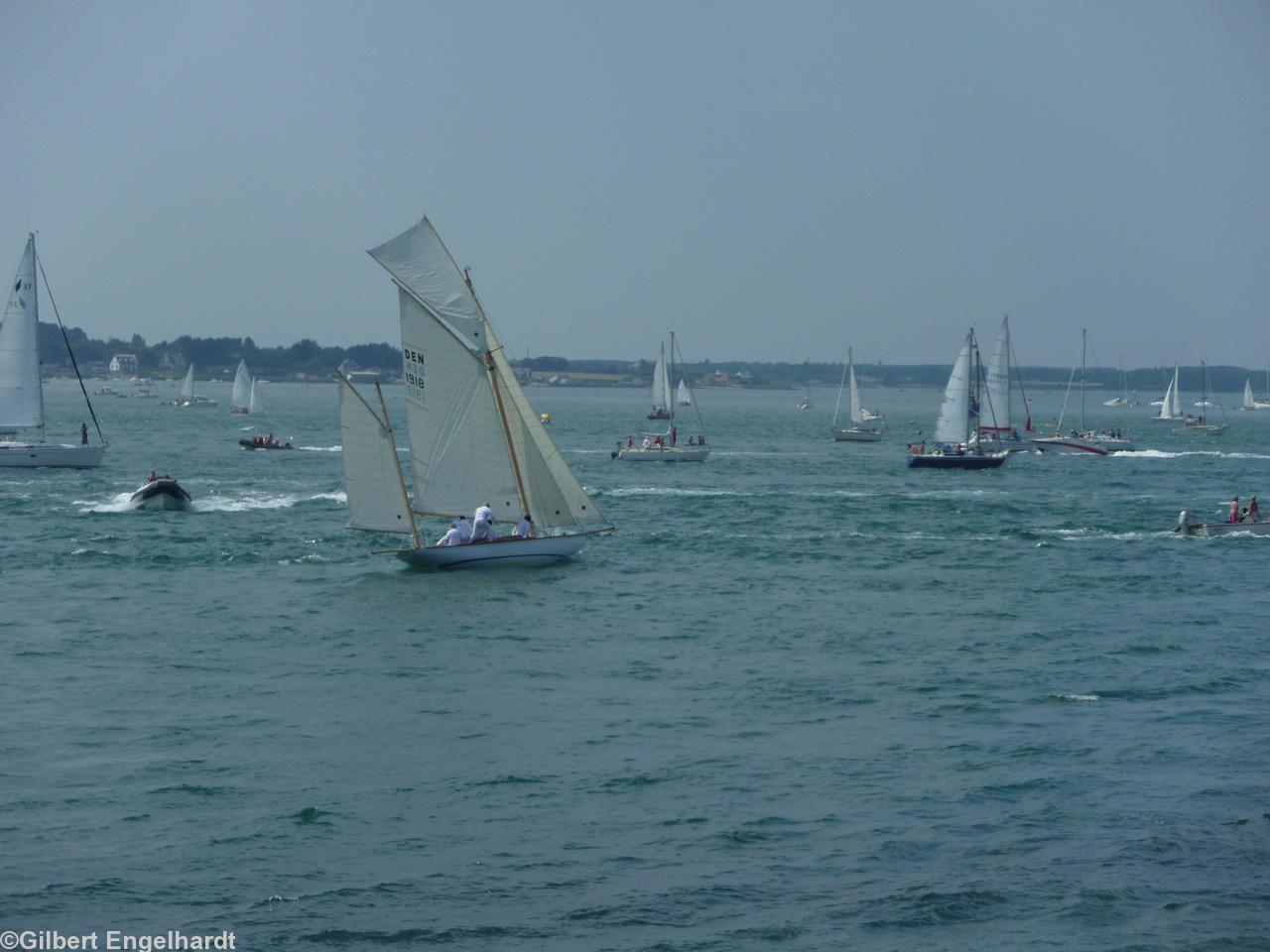 Le<i>Viola.</i> Le<i>Viola.</i>