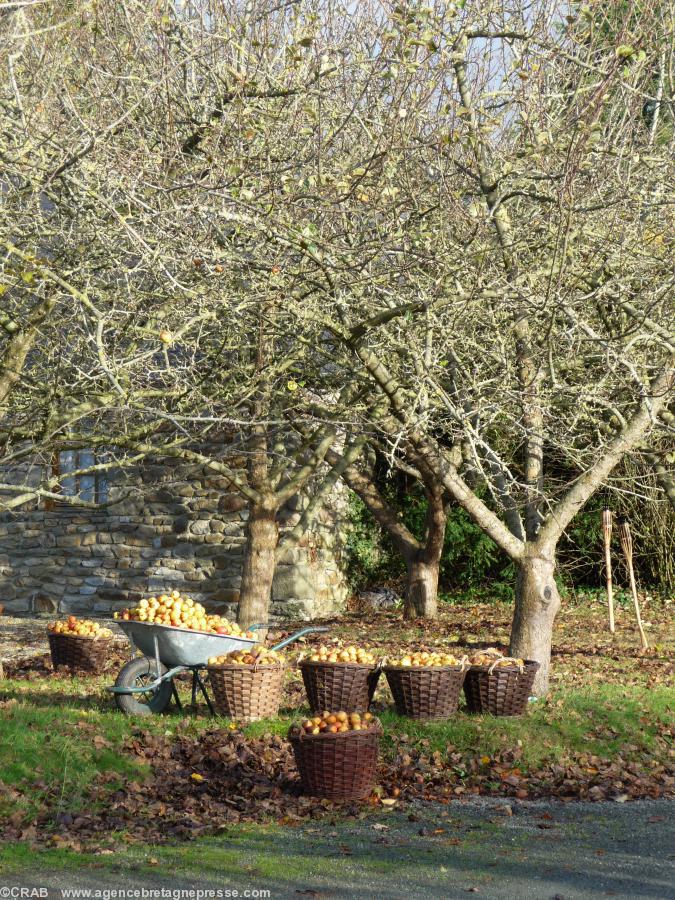 SavourezLaBretagne.com