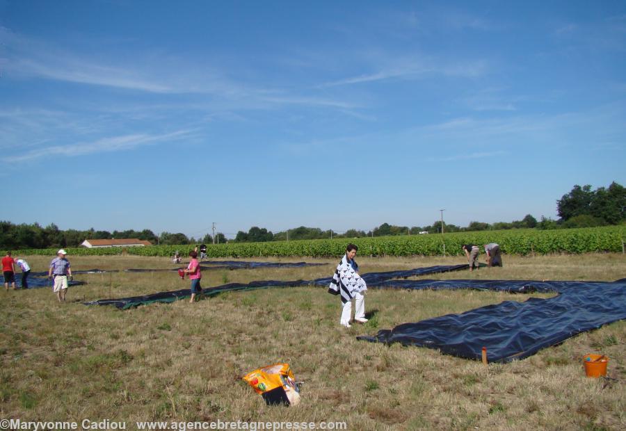 Revenons à la fresque le matin. À 10 h 30 le H et le Z sont placés. Revenons à la fresque le matin. À 10 h 30 le H et le Z sont placés.