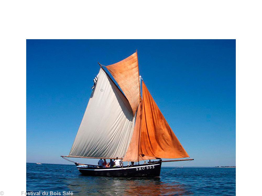 \"Le Grand Norven\" sloop sardinier de Piriac.