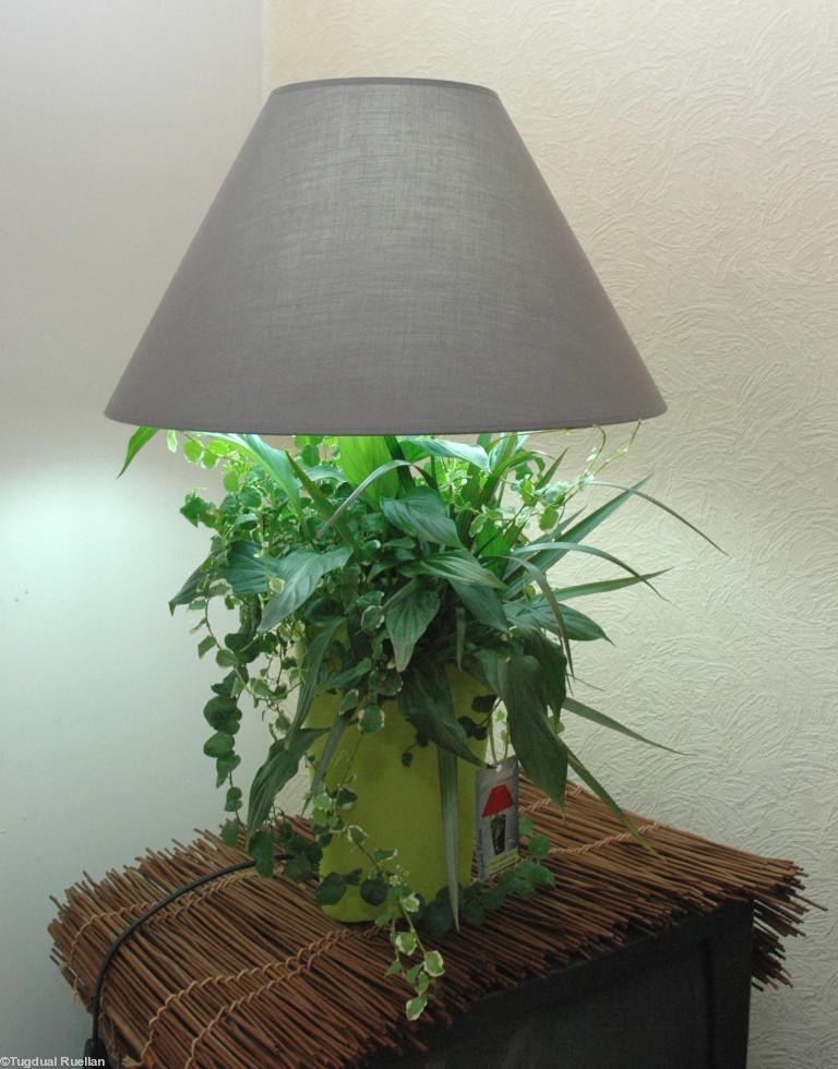 Sophie Fiacre remporte une médaille d\'or au concours Lépine au niveau européen.