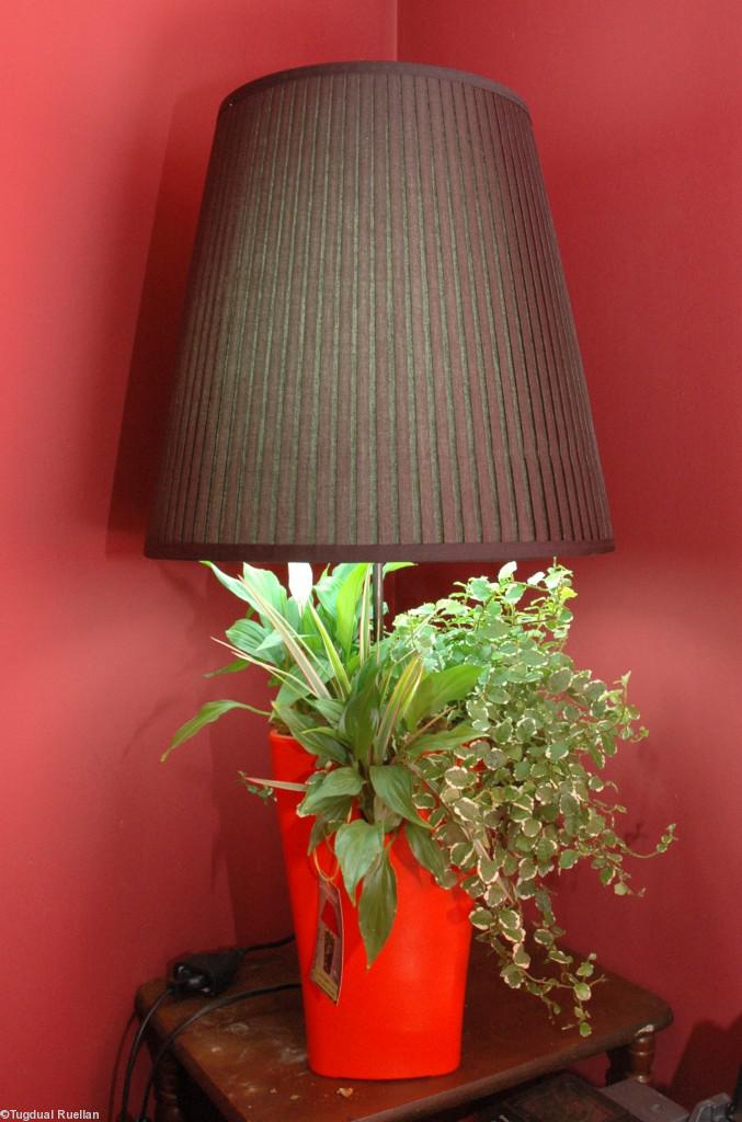 Une idée simple et géniale : allier lampe et pot de fleur.