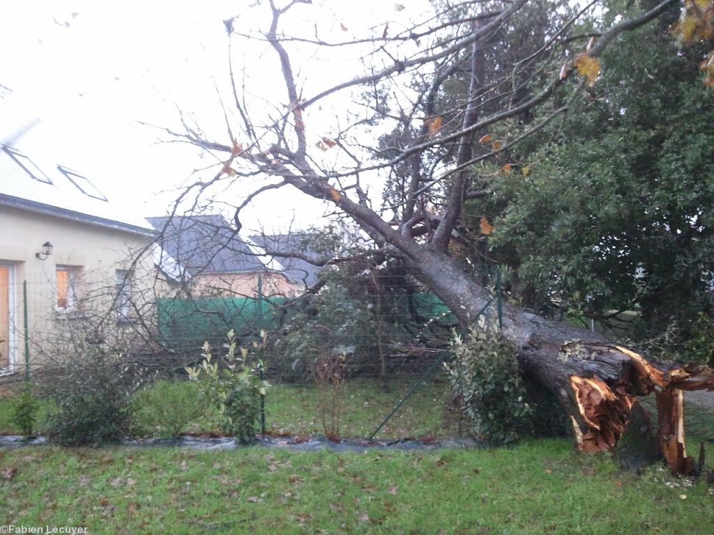 Questembert 16/12/2011 Questembert 16/12/2011