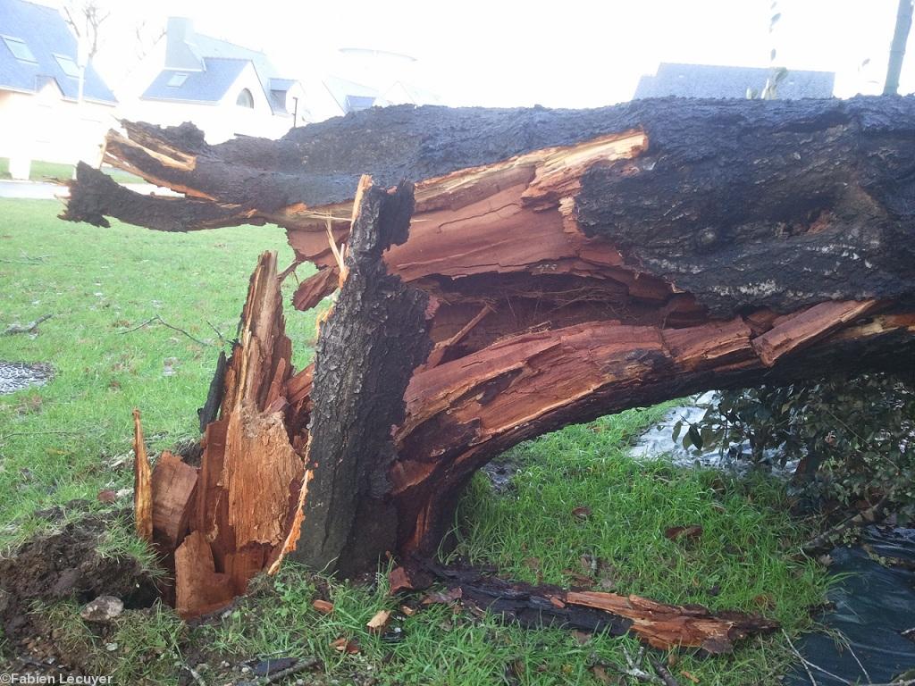 Questembert Questembert