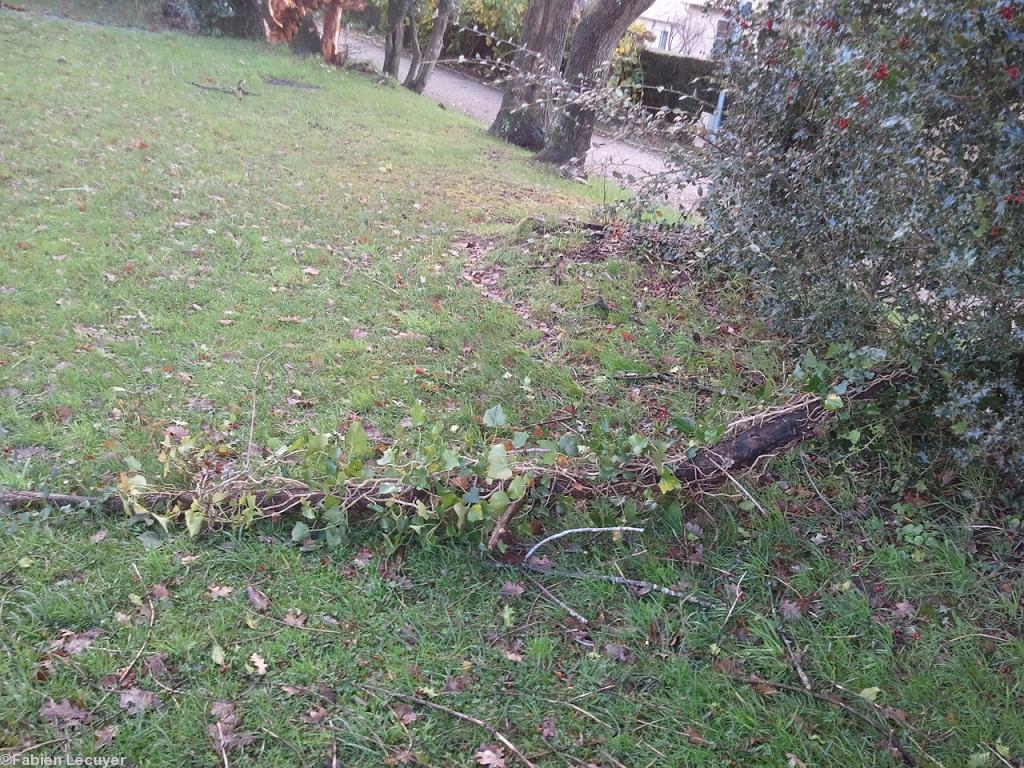 Questembert Questembert