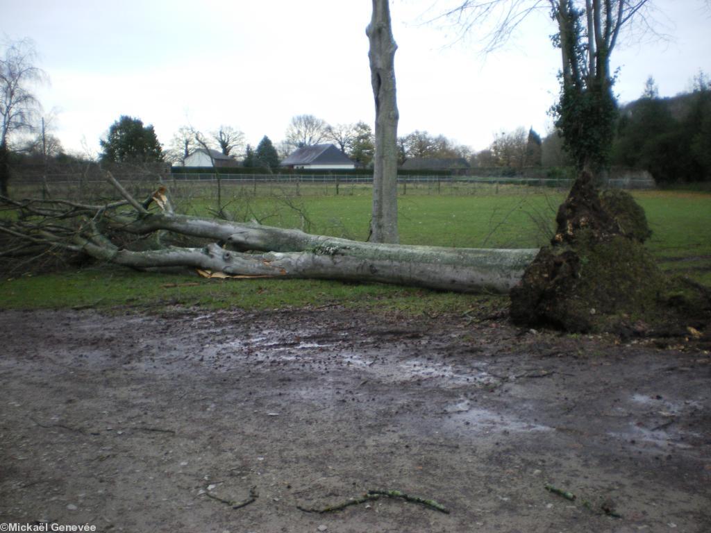 Montfort-sur-Meu (35) Montfort-sur-Meu (35)