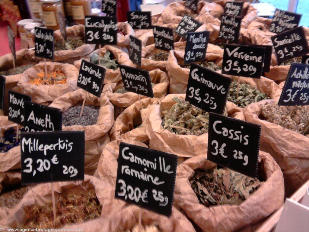 Les plantes médicinales et arômatiques de Maud Les plantes médicinales et arômatiques de Maud