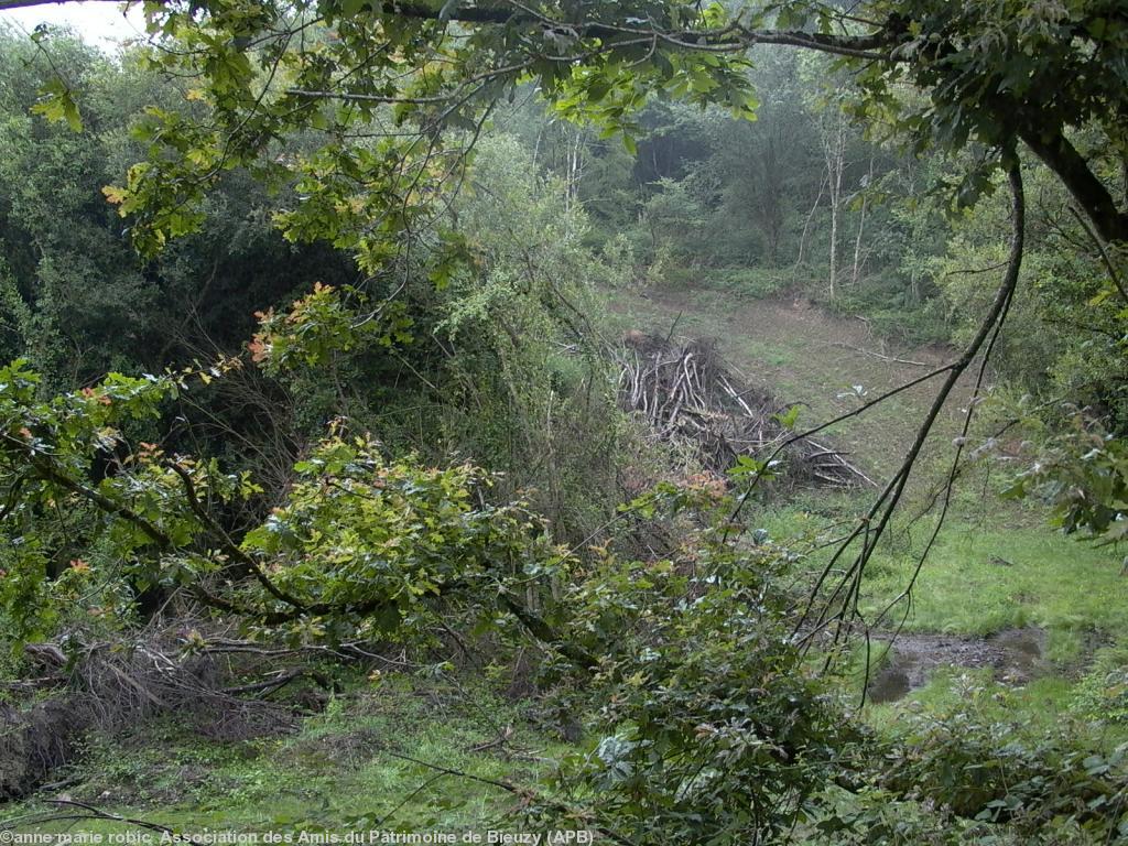 déboisement sauvage sur le site du golf
