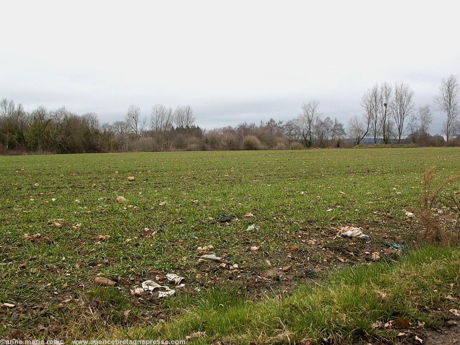 Guernal 2 sous l'emprise de la future rocade