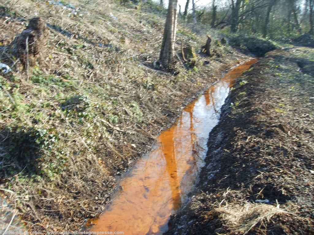guernal 2 : fossé bordant la décharge