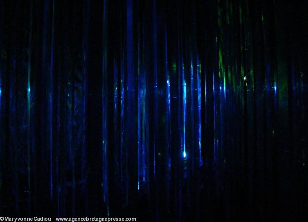 <i><b>Profondeur de lames</b>. Installation/Captation. <b>Les prairies de la mer</b>. Océanopolis. Brest. Finistère.</i> <i><b>Profondeur de lames</b>. Installation/Captation. <b>Les prairies de la mer</b>. Océanopolis. Brest. Finistère.</i>