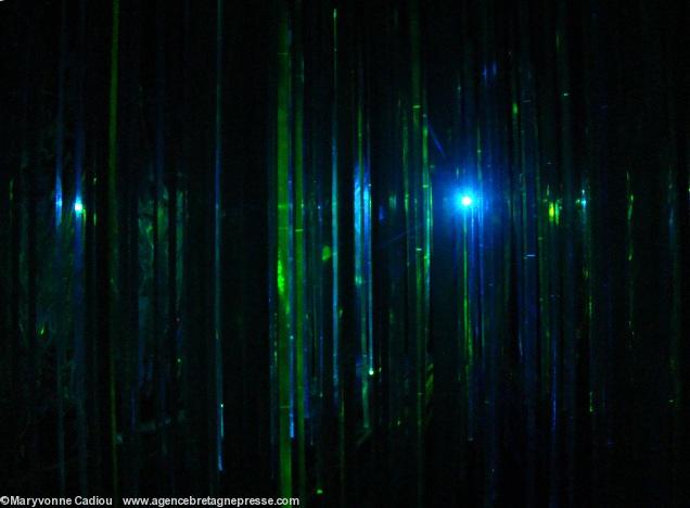 <i><b>Profondeur de lames</b>. Installation/Captation. <b>Les prairies de la mer</b>. Océanopolis. Brest. Finistère.</i> <i><b>Profondeur de lames</b>. Installation/Captation. <b>Les prairies de la mer</b>. Océanopolis. Brest. Finistère.</i>