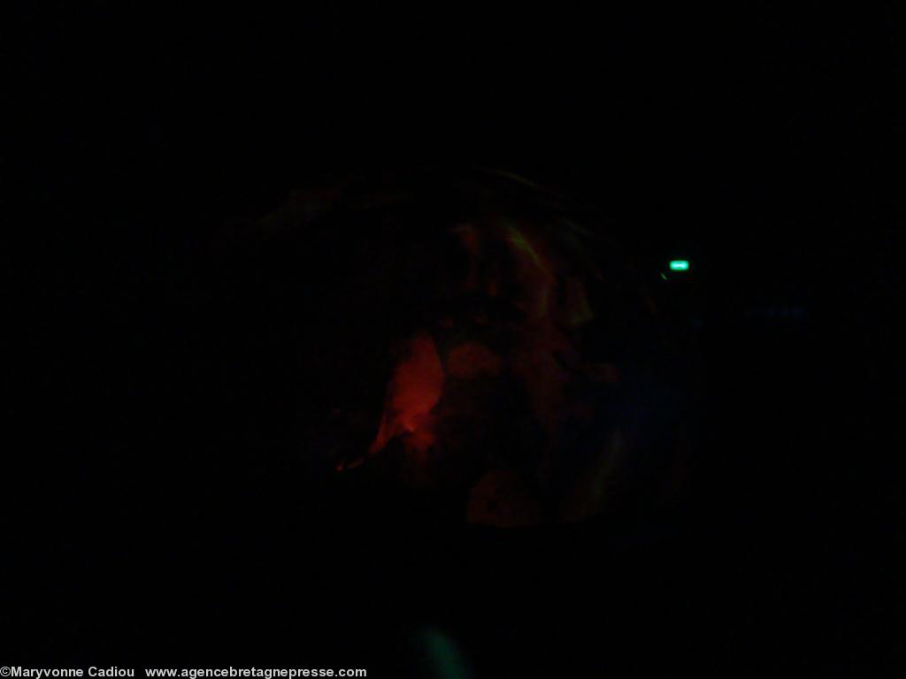 Captation à Huelgoat. Captation à Huelgoat.