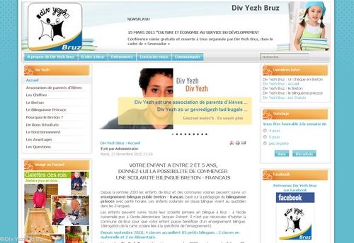 Aperç du site internet de Div Yezh Bruz