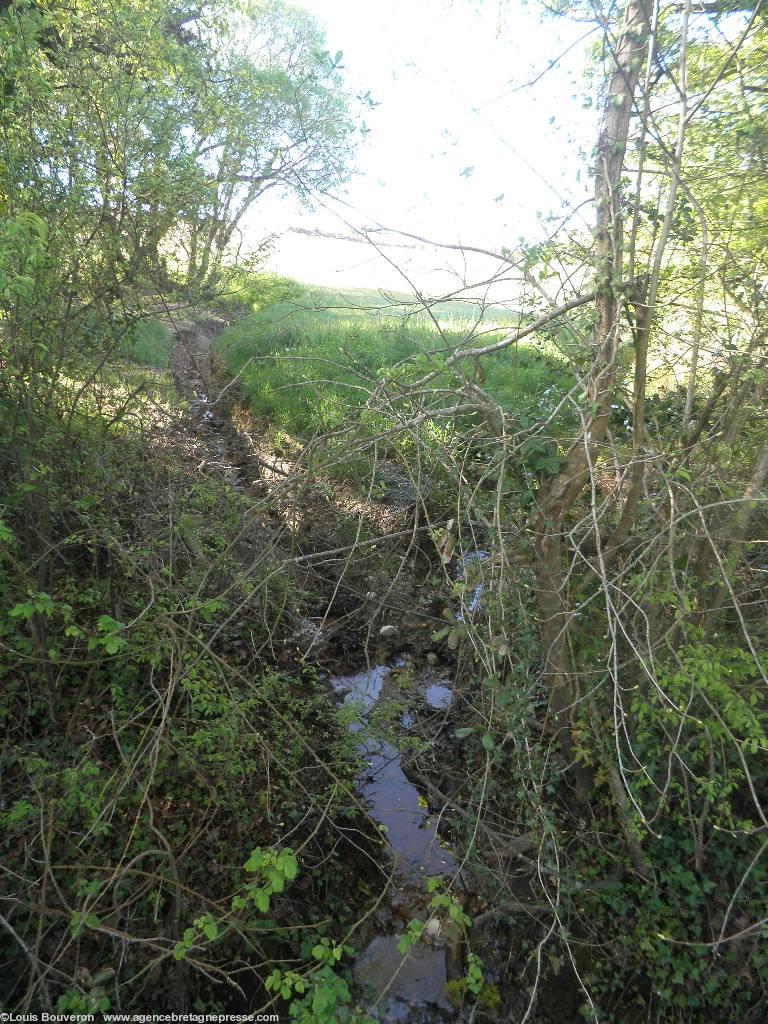 Ces fossés ne répondent pas aux normes
d\'une installation de récupération des
eaux d\'infiltration. Ces fossés ne répondent pas aux normes
d\'une installation de récupération des
eaux d\'infiltration.