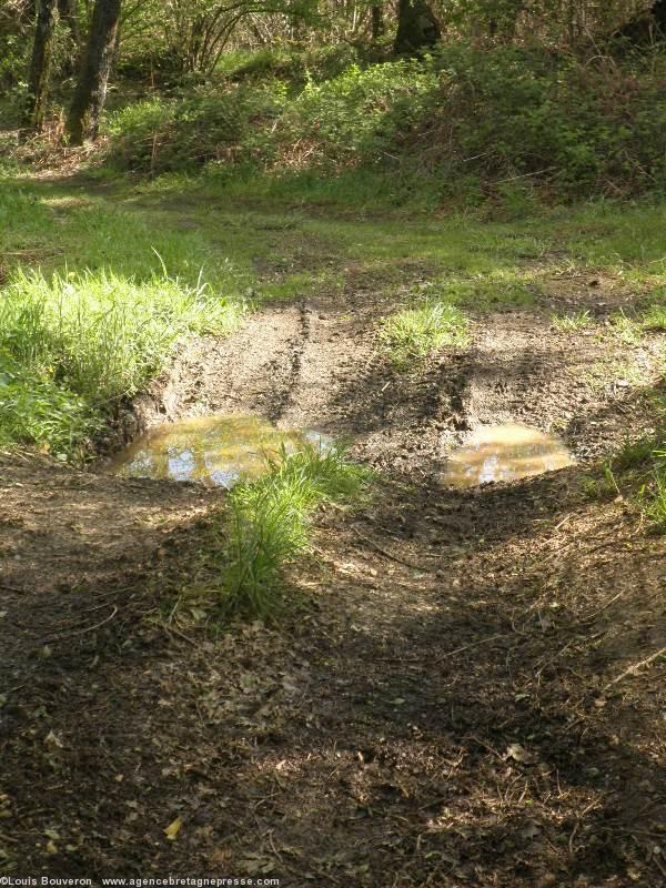 L\'est du site encore épargné est très
dégradé par les quads dont les ornières
ravinent les chemins. L\'est du site encore épargné est très
dégradé par les quads dont les ornières
ravinent les chemins.