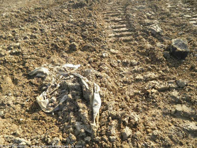 Planqués les goudrons émergent à peine
des boues inertes avec le textile de
chantier. Planqués les goudrons émergent à peine
des boues inertes avec le textile de
chantier.