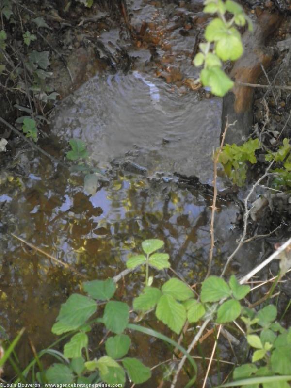 L\'eau des fossés d\'écoulement présente des
taches d\'hydrocarbures. L\'eau des fossés d\'écoulement présente des
taches d\'hydrocarbures.