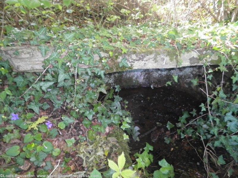 Cette fontaine a été tarie par la décharge
sauvage. Cette fontaine a été tarie par la décharge
sauvage.