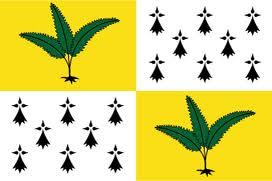 Drapeau de la Ville de Fougères