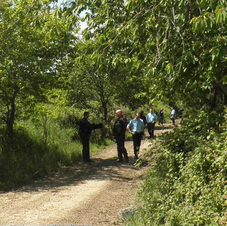 Prom\'nons nous dans les bois... tant
qu\'les vaches n\'y sont pas. Si les
vaches y étaient on les gazerait. Mais
comme elles n\'y sont pas on n\'les
gaz\'ra pas. <b>Cliquer pour voir la photo entière</b>. Prom\'nons nous dans les bois... tant
qu\'les vaches n\'y sont pas. Si les
vaches y étaient on les gazerait. Mais
comme elles n\'y sont pas on n\'les
gaz\'ra pas. <b>Cliquer pour voir la photo entière</b>.