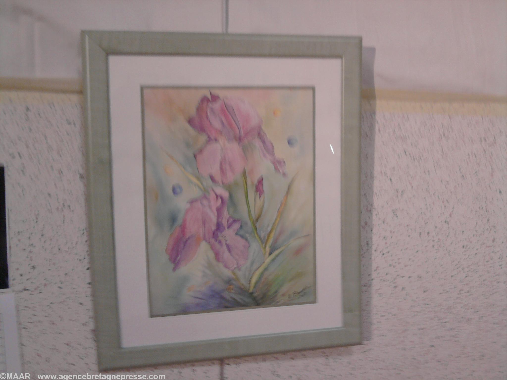 Iris Violet oeuvre de Annette Baudic Iris Violet oeuvre de Annette Baudic