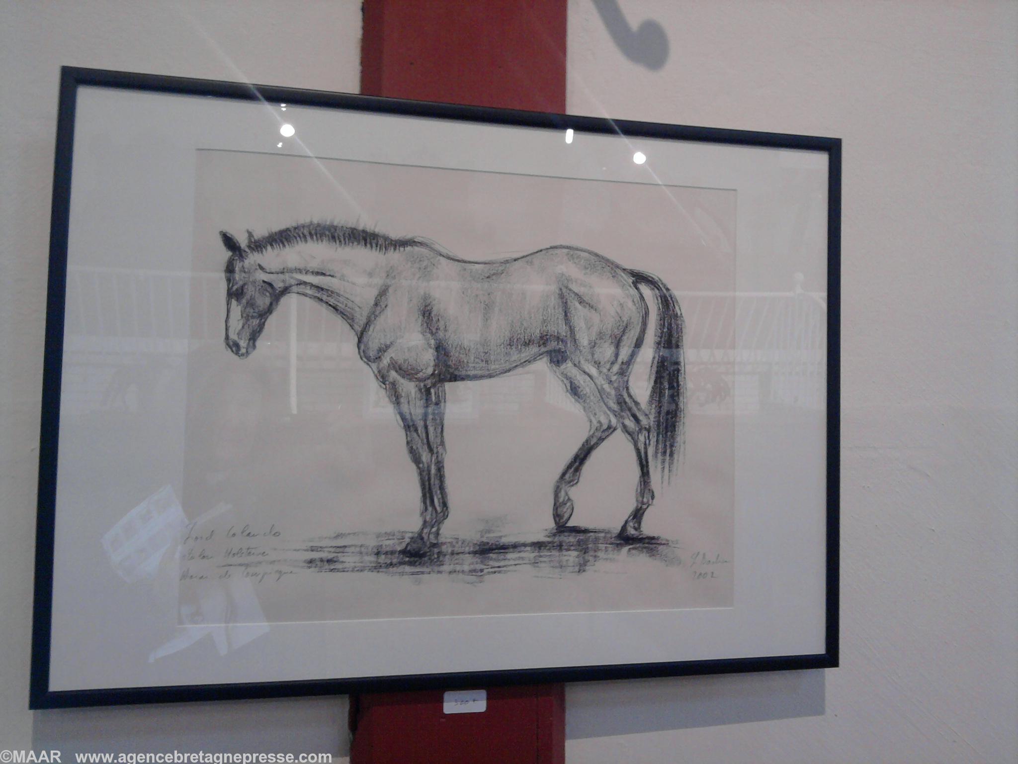 Oeuvre de Lili Badin cheval Holsteiner