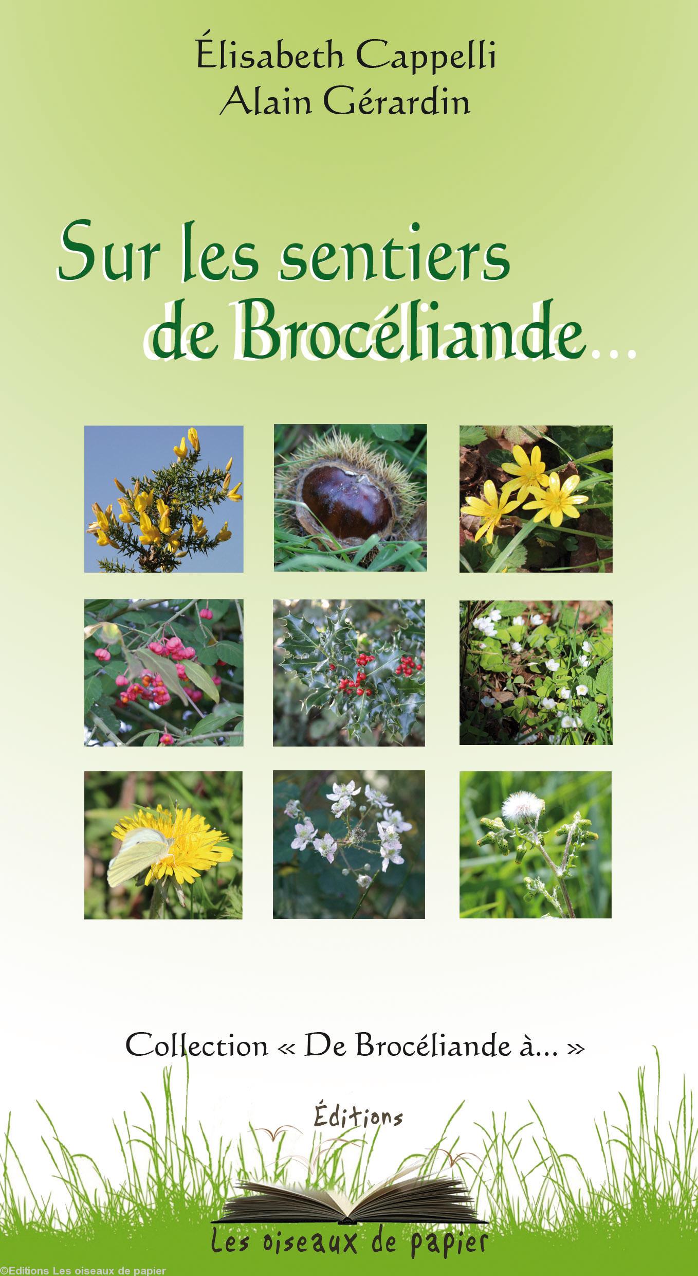 \"Sur les sentiers de Brocéliande\"  couverture.