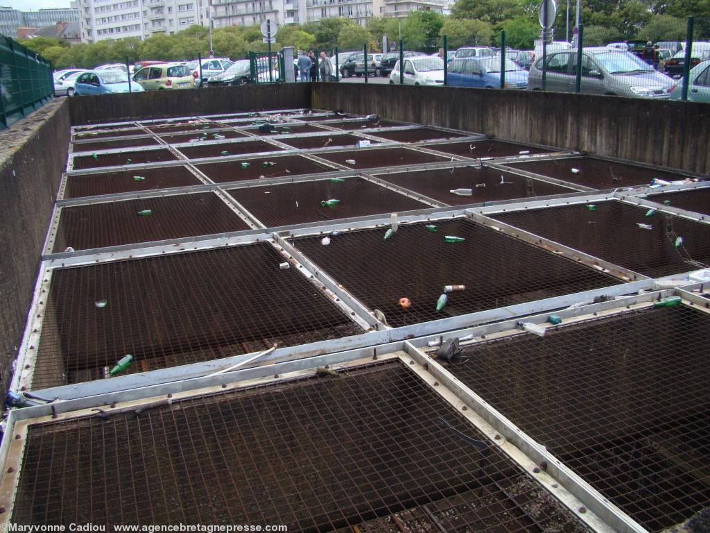 Nantes 13 juin 2012 à 15 h. Parking de la Petite Hollande. Le souterrain grillagé de la voie de chemin de fer. Les éboueurs sont-ils aussi des acrobates ? Nantes 13 juin 2012 à 15 h. Parking de la Petite Hollande. Le souterrain grillagé de la voie de chemin de fer. Les éboueurs sont-ils aussi des acrobates ?