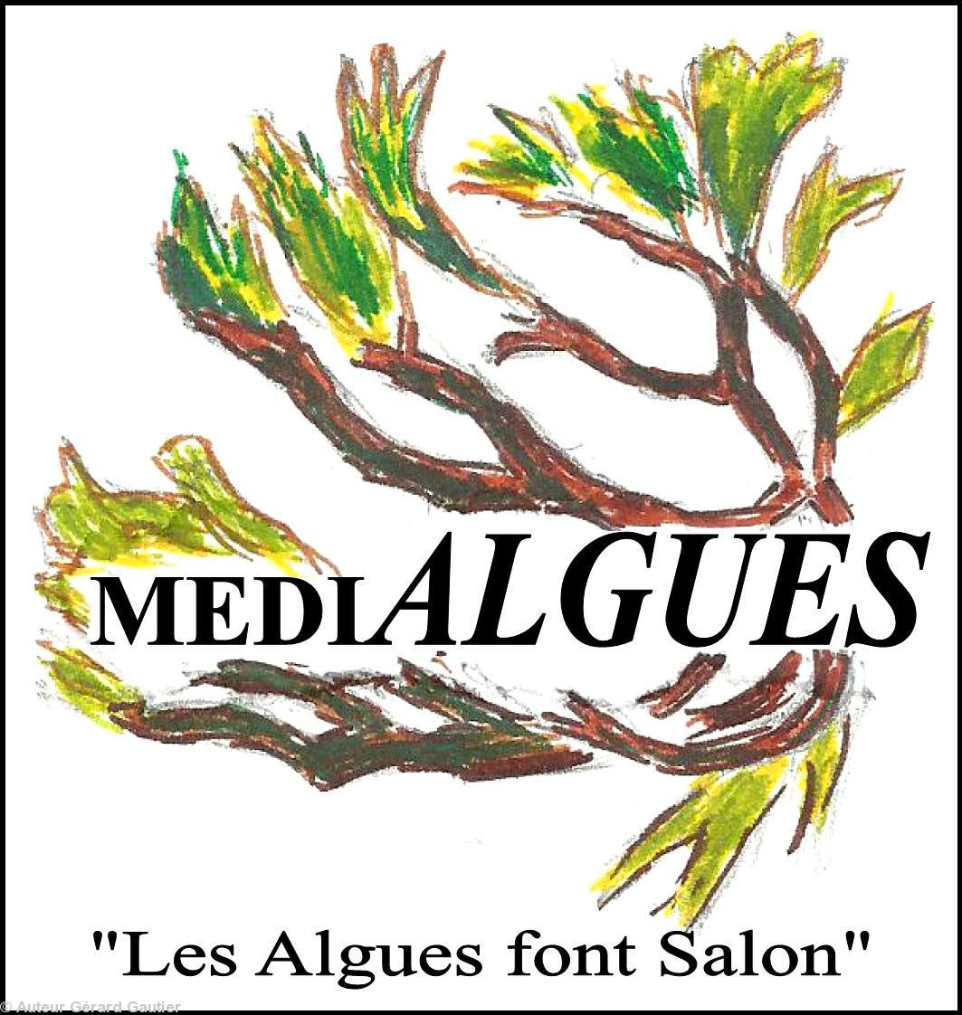 logo MEDIALGUES