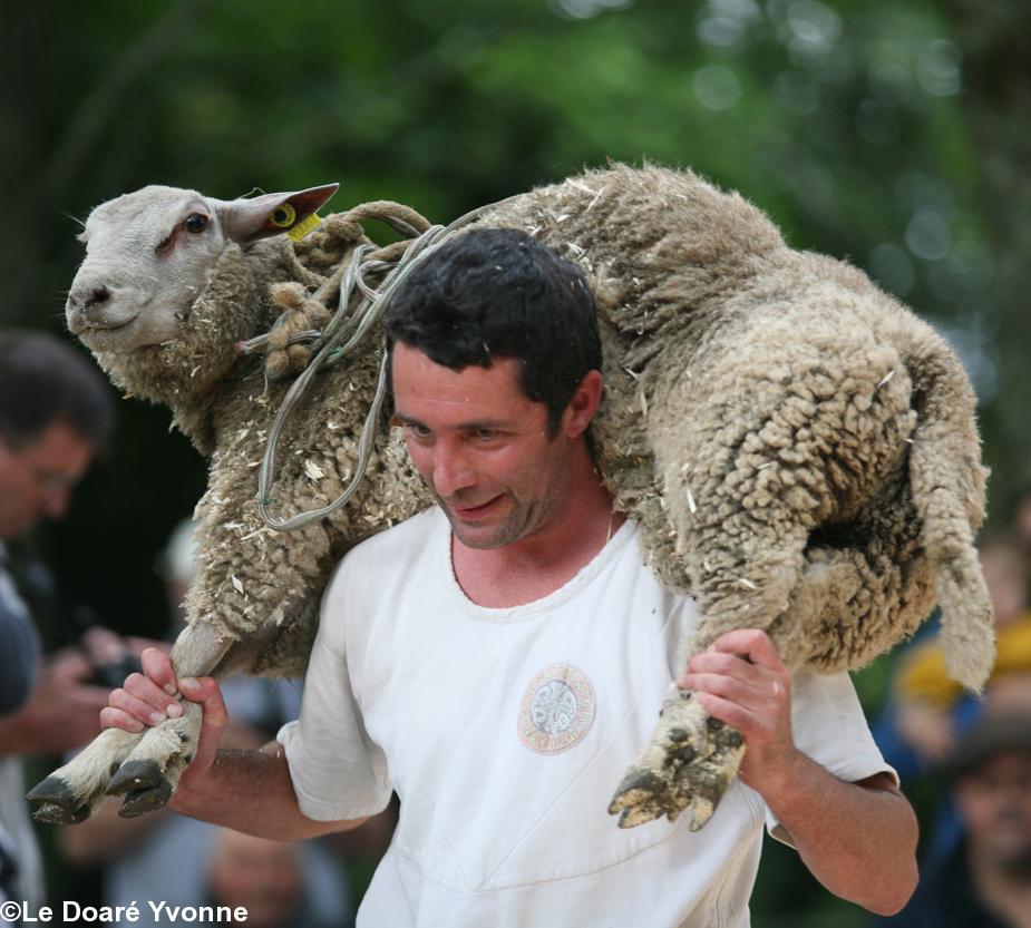 Le grand vainqueur de ce jour portant le \"maout\" sur ses épaules pour le tour d\'honneur final. Le grand vainqueur de ce jour portant le \"maout\" sur ses épaules pour le tour d\'honneur final.