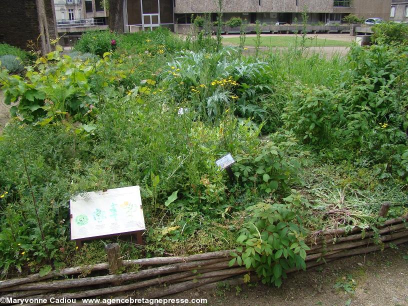 Musée Dobrée. Jardins médiévaux. Musée Dobrée. Jardins médiévaux.
