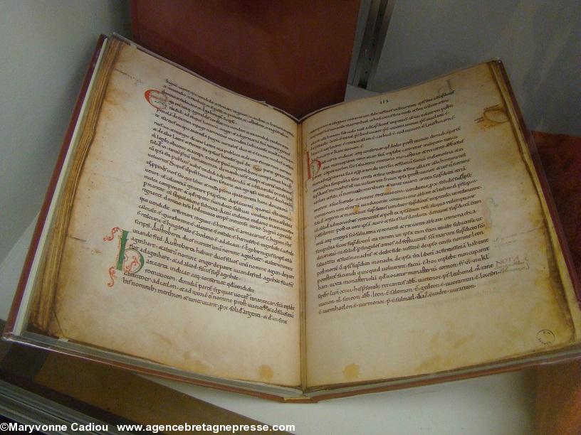 Cartulaire de Redon. Un fac-similé du manuscrit original sur parchemin ? Estampillé B. M Vannes. Cartulaire de Redon. Un fac-similé du manuscrit original sur parchemin ? Estampillé B. M Vannes.